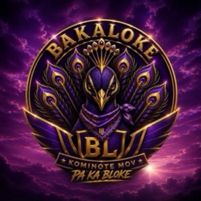 A_TL (86_Clothings)'s profile picture