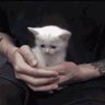 Profilbild von jinu