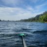 Rowing Machine 的头像