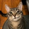 RNGsmiles 🌿 profil fotoğrafı