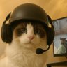 MoonCat🐈Mong 🐂🀄️'s profile picture