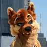 Profilbild von FireShep