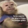 Фото профиля Monito 77 🤠🦋🍋🟩⬜
