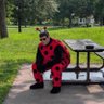 LadyBug🐞's profile picture