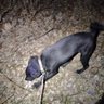 dannyboy's profile picture