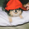 Fran⁷ ❤️🖤⦿ ☰ ☲ 🪭's profile picture