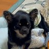 Profilbild von しまぐ