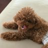 紺's profile picture