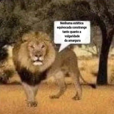 ex amargurada's profile picture