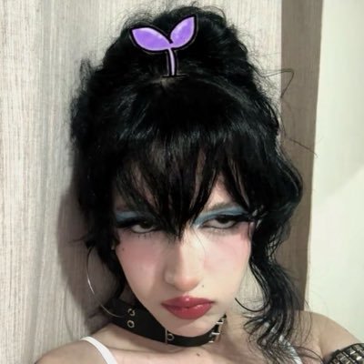 aranhinhas's profile picture