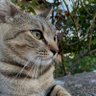 . profil fotoğrafı