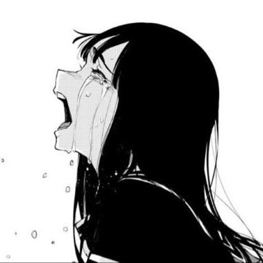wawa's profile picture