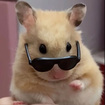 𝙈𝘿♥'s profile picture