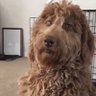 BO_BE_CHILLIN 的头像
