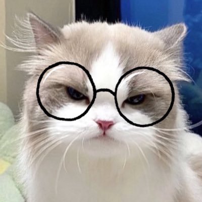 meowmeowiscat's profile picture