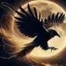 Profilbild von AmjadCh