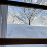雪だるま🎀 profil fotoğrafı