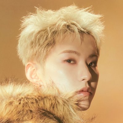 hoshi lover's profile picture