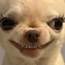 Iy's profile picture
