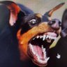 Profilbild von Juice