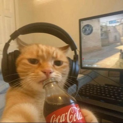 shinyosol's profile picture