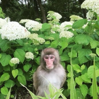 mymediacc's profile picture