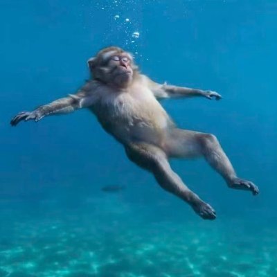 Bliban's profile picture