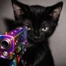 Fly's profile picture