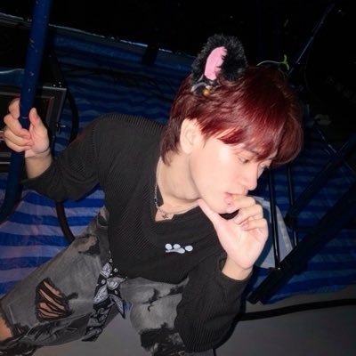 🦋's profile picture