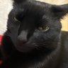 Anyi Diaz profil fotoğrafı