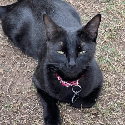 Gisela's profile picture