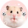Profilbild von ã¯ã飯