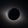 DGVG's profile picture