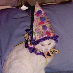 galgal satanás ☭'s profile picture
