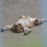 LAZYMODE (( _ _ ))..zzzZZ 的头像