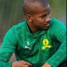 scelo's profile picture