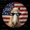 Фото профиля Hedgy 🇺🇸