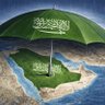 Abdullah 🇸🇦 的头像
