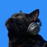 Defy's profile picture