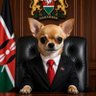 President Chihuahua PhD's profile picture