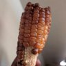 Profilbild von lwetute🇺🇬π