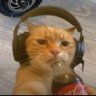 Profilbild von The Omega Cat