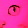 Profilbild von Lupus