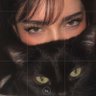 Profilbild von نَنِه ی اِسکَندَر 🐈⬛