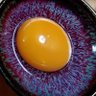 いぬのエピクロス 的头像