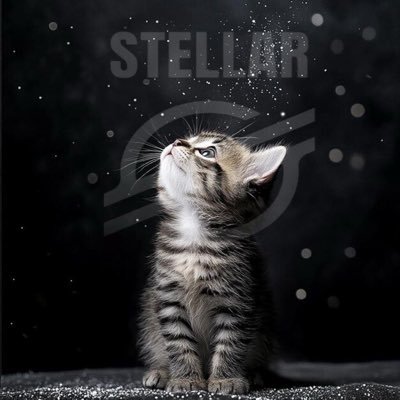 NeedACoffeUSA's profile picture