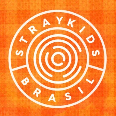 Stray Kids Brasil's profile picture