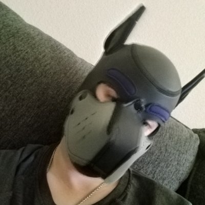 puppylavande's profile picture