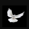 khd195's profile picture