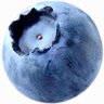 寒莓 profil fotoğrafı